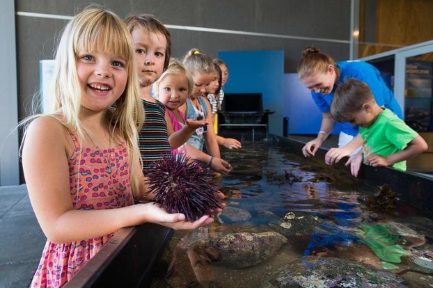 Goat Island Marine Discovery