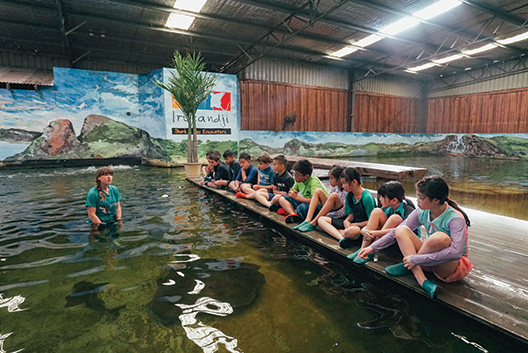 Marine Biology at Irukandji Shark & Ray