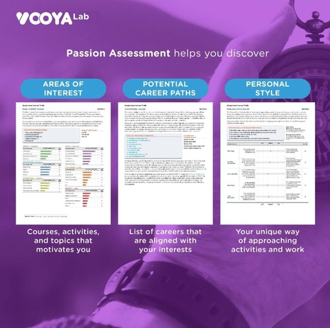 Passion Perseverance Assessment